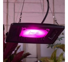 Прожектор светодиодный для растений FITO-50W-LED BLUERED 50Вт IP65 220-240В -30град. до + 45град. 30000ч для цветения и плодоношения красно-синего спектра ЭРА Б0039033