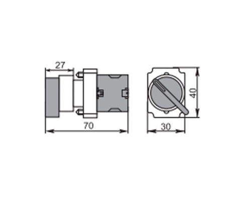 Переключатель BD21 2P короткая ручка NO Rexant 36-5550